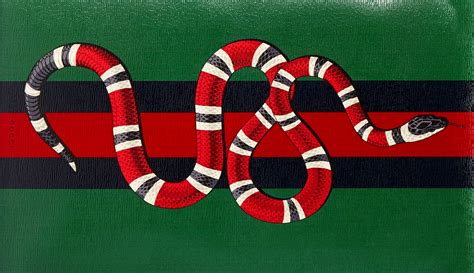 gucci snake white background|Gucci desktop wallpaper.